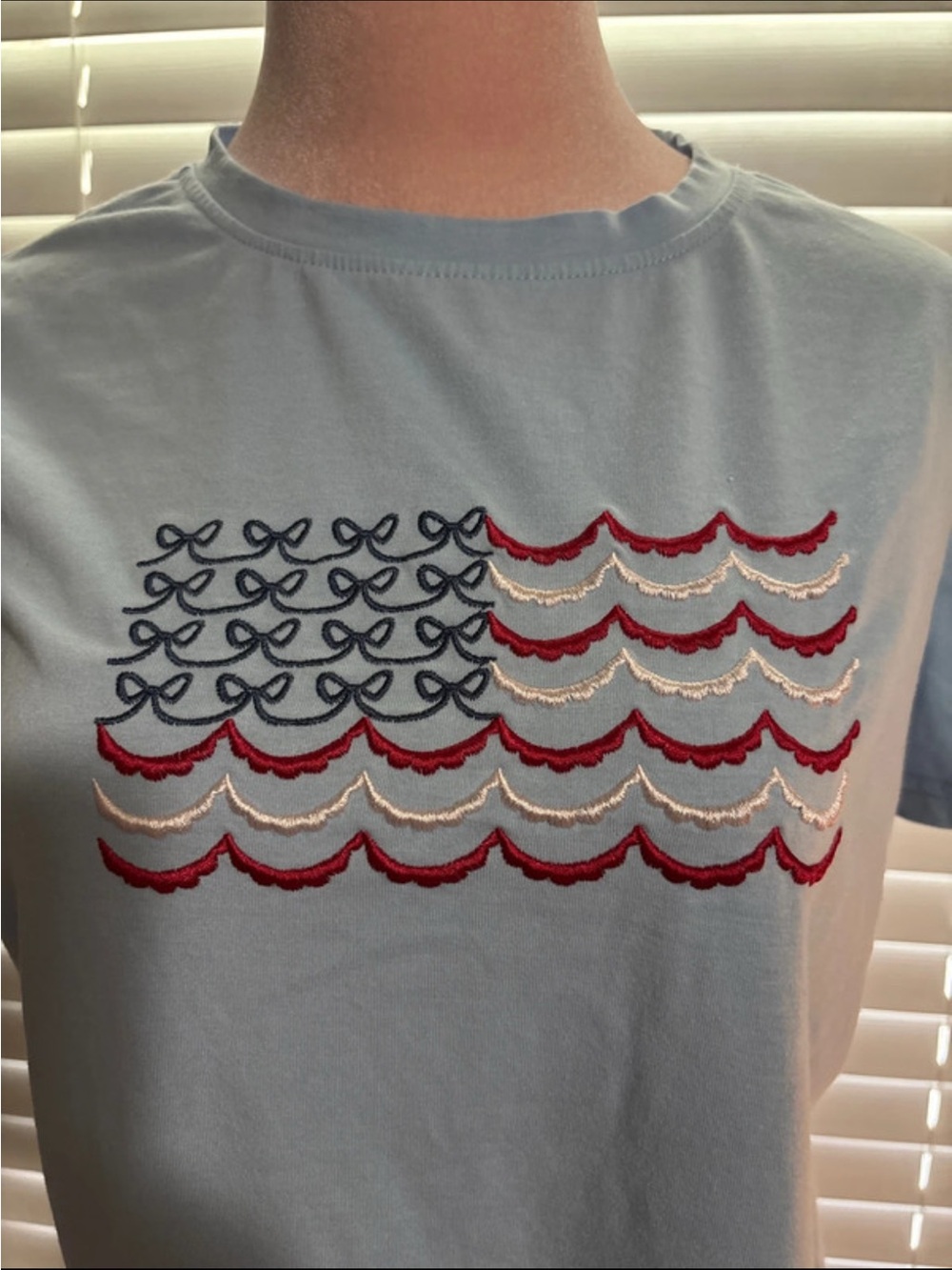 Light Blue Embroidered Americana Crewneck Shirt